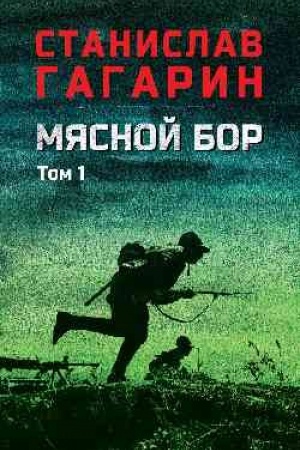 Cover: Myasnoj Bor : Kn.1: Nastuplenie. Kn.2: Bolotnye soldaty (12+)