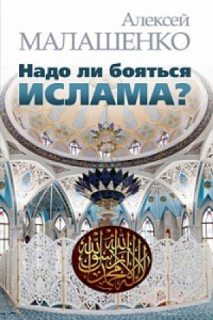 Buchcover: Nado li bojat&prime;sja islama?