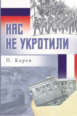 Cover: Nas ne ukrotili