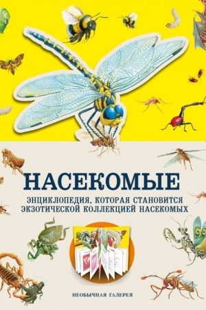 Обложка: Насекомые