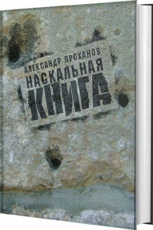 Обложка: Наскальная книга