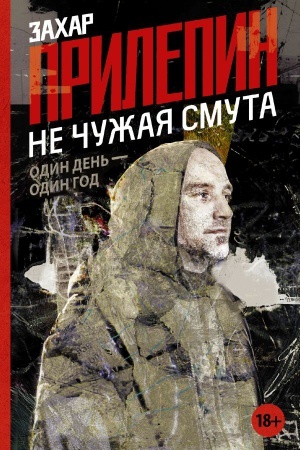 Buchcover: Ne čužaja smuta. Odin den′ - odin god