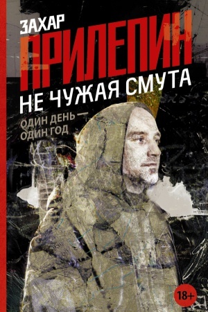 Buchcover: Ne čužaja smuta. Odin den&prime; - odin god