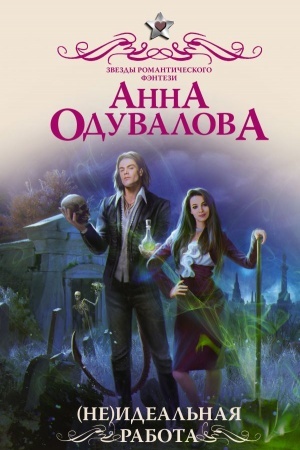 Buchcover: Ne)ideal′naja rabota
