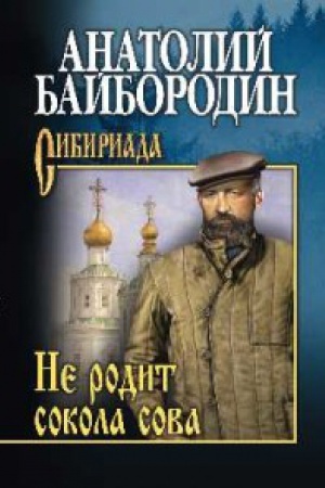 Cover: Ne rodit sokola sova