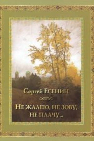 Обложка: Не жалею, не зову, не плачу…