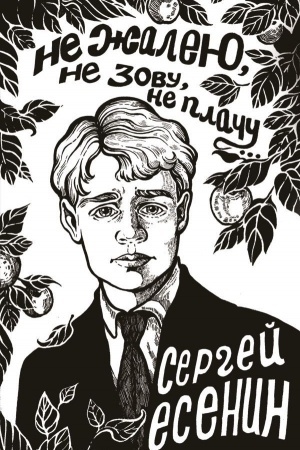 Cover: Ne zhaleyu, ne zovu, ne plachu...