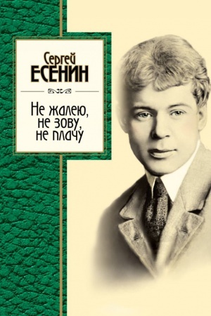 Обложка: Не жалею, не зову, не плачу