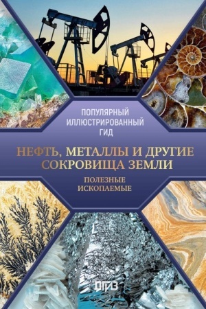 Buchcover: Neft′, metally i drugie sokrovičša Zemli. Poleznye iskopaemye