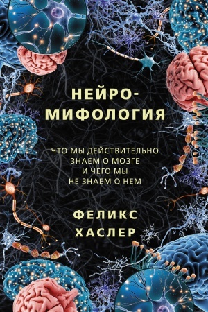 Buchcover: Nejromifologija