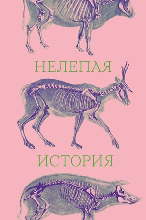 Обложка: Нелепая история