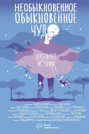 Обложка: Необыкновенное обыкновенное чудо. Школьные истории
