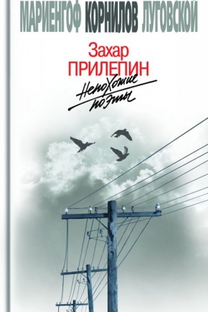 Cover: Nepochozhie poety. Tragedii i sud′by bol′shevistskoj epochi: Anatolij Mariengof. Boris Kornilov. Vladimir Lugovskoj