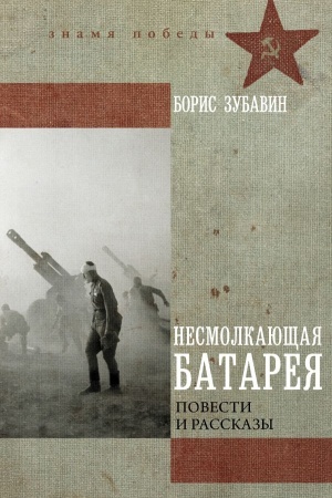 Buchcover: Nesmolkajučšaja batareja