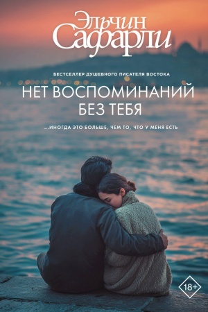 Buchcover: Net vospominanij bez tebja