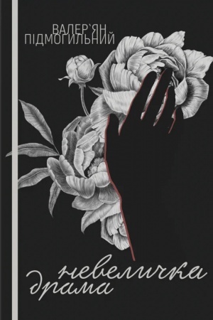 Cover: Nevelychka drama : roman.