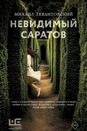 Buchcover: Nevidimyj Saratov