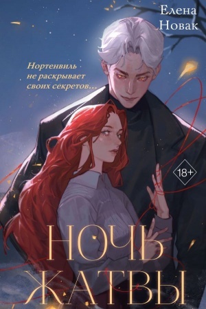 Buchcover: Noč′ Žatvy