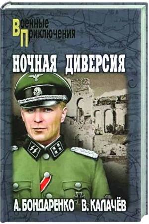 Обложка: Ночная диверсия