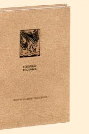 Buchcover: NOVYJ ZAVET: Sobornye poslanija