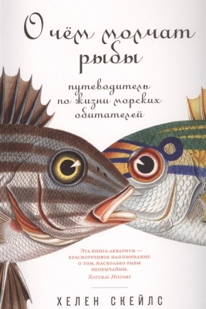 Buchcover: O čem molčat ryby. Putevoditel′ po žizni morskich obitatelej
