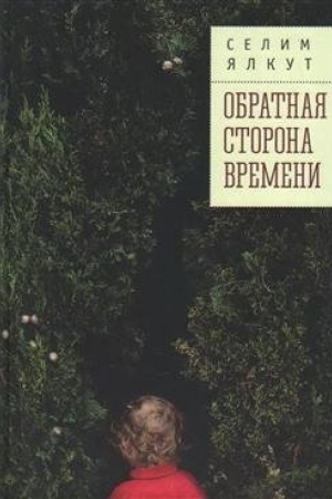 Cover: Obratnaya storona vremeni