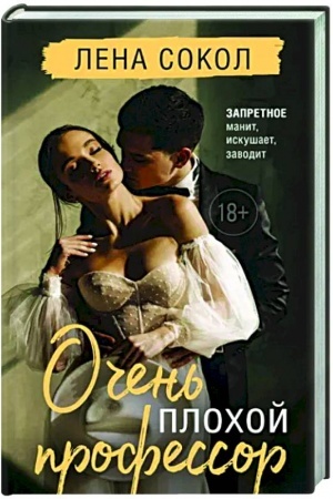 Buchcover: Očen′ plochoj professor