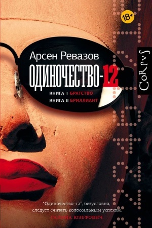 Buchcover: Odinočestvo-12