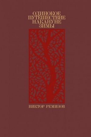 Cover: Odinokoe puteshestvie nakanune zimy