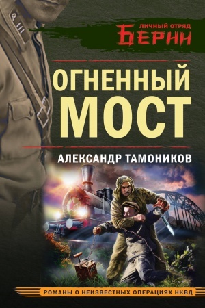 Buchcover: Ognennyj most