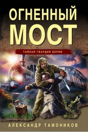 Buchcover: Ognennyj most
