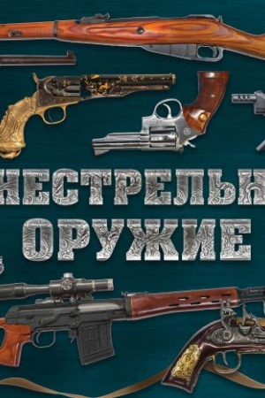 Buchcover: Ognestrel′noe oružie (al′bomnyj format)