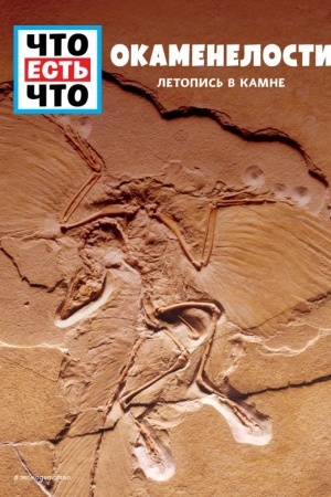 Cover: OKAMENELOSTI. Letopis′ v kamne