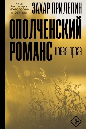 Buchcover: Opolčenskij romans
