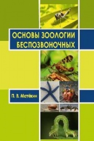 Buchcover: Osnovy zoologii bespozvonočnych : učebnoe posobie