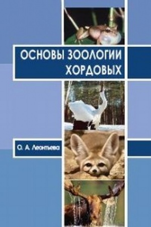 Buchcover: Osnovy zoologii chordovych