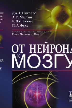 Buchcover: Ot nejrona k mozgu. Per. s angl.