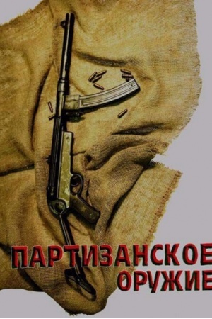 Обложка: Партизанское оружие. Каталог коллекции / Белорусский государственный музей истории Великой Отечественной войны