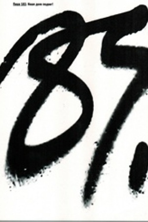 Buchcover: Paša 183. Naše delo podvig!