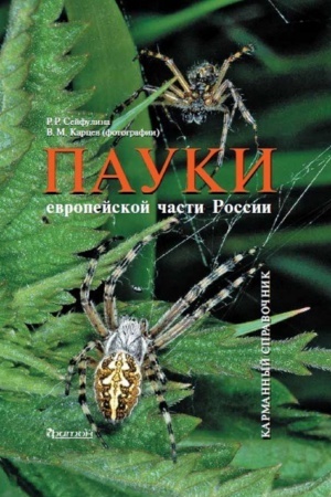 Buchcover: Pauki evropejskoj časti Rossii