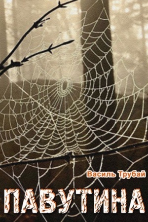 Cover: Pavutyna: opovidannya