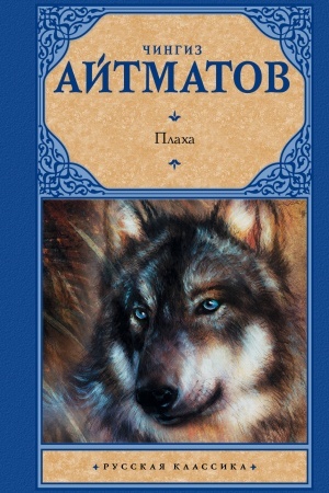 Buchcover: Placha
