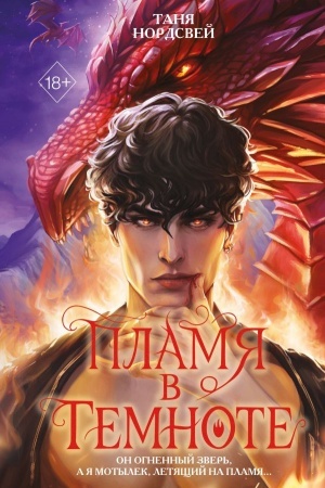 Buchcover: Plamja v temnote