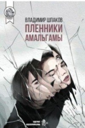Обложка: Пленники Амальгамы