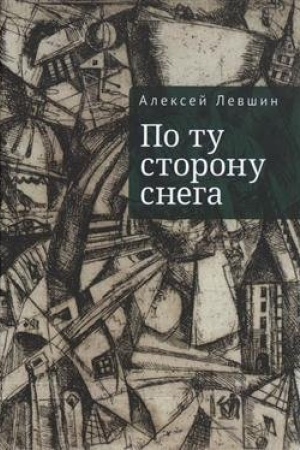 Cover: Po tu storonu snega