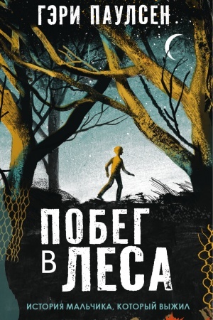 Обложка: Побег в леса
