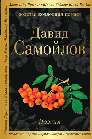 Buchcover: Poėzija (belaja bumaga)