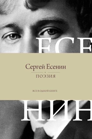 Cover: Poeziya. Vse v odnoj knige