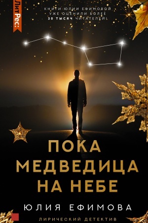 Cover: Poka Medvedica na nebe