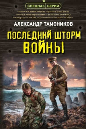 Обложка: Последний шторм войны